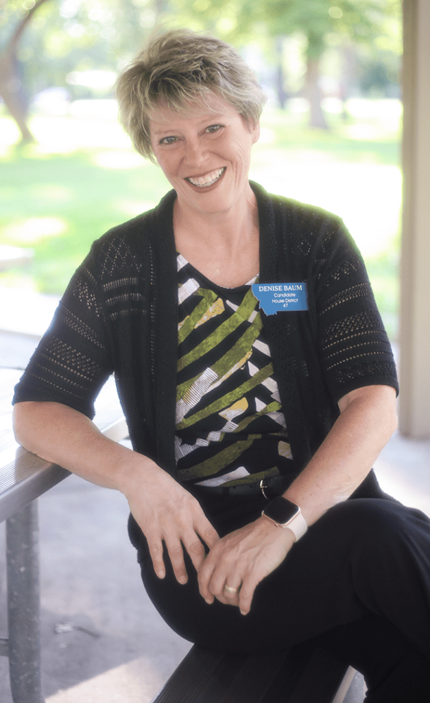 Denise Baum Legislative Candidate for Billings Montana